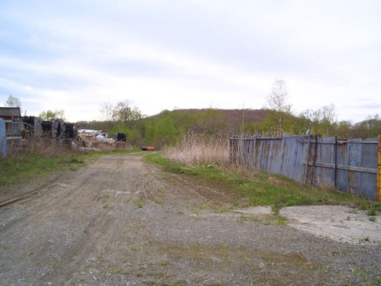 photo004