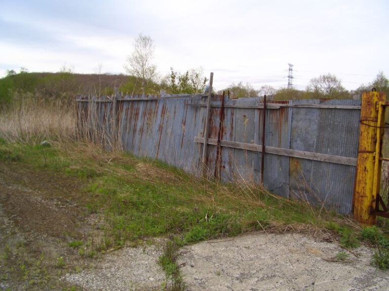photo006