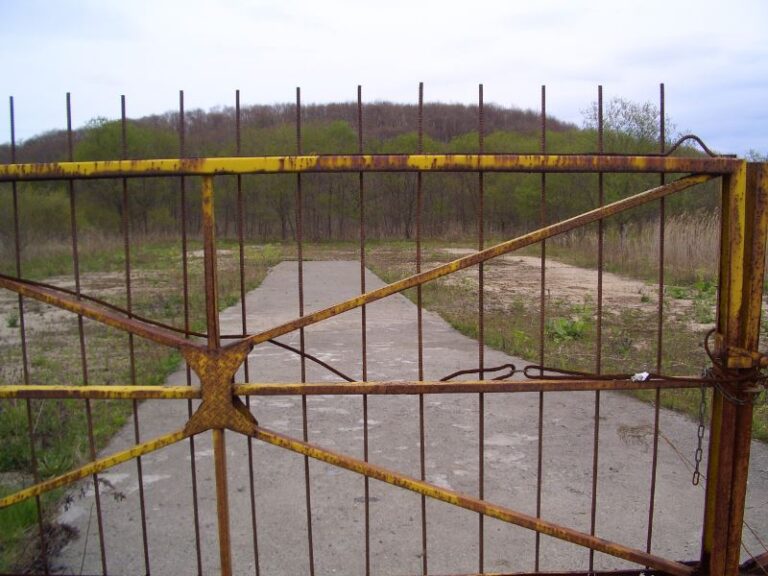 photo009
