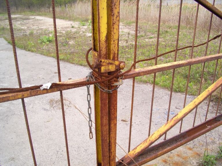 photo010