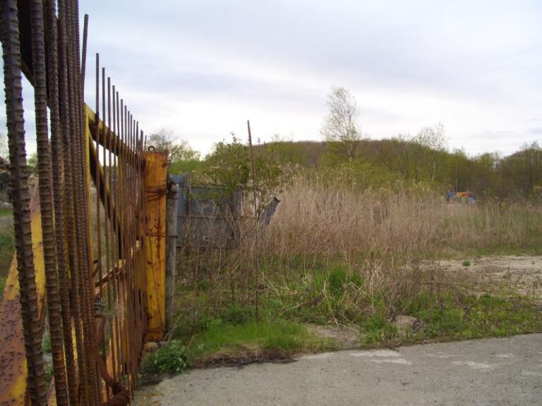 photo011