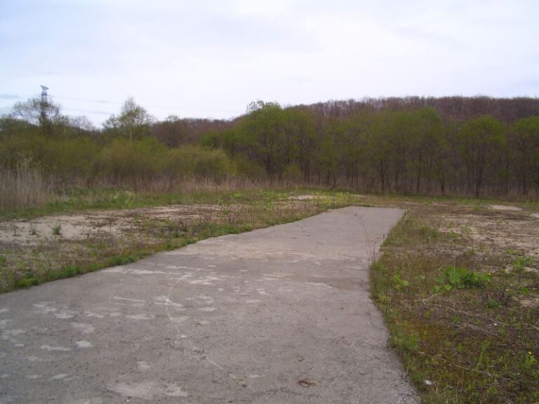 photo017