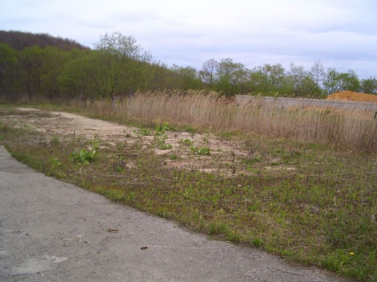 photo018