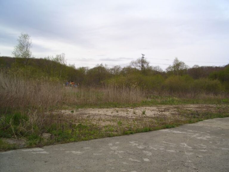 photo019