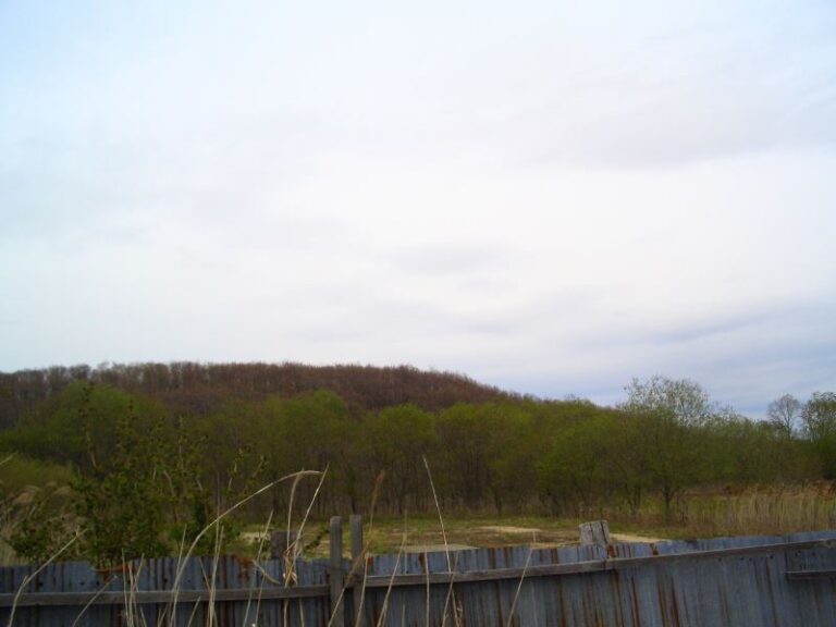 photo021