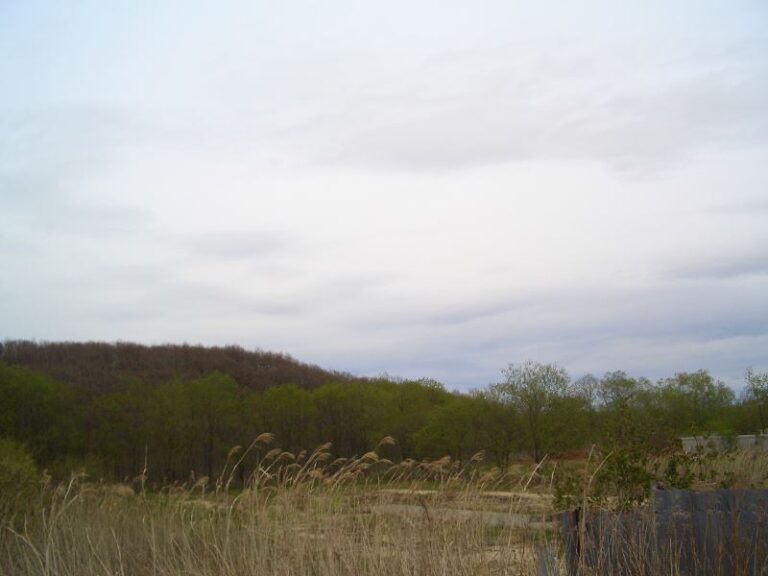 photo023