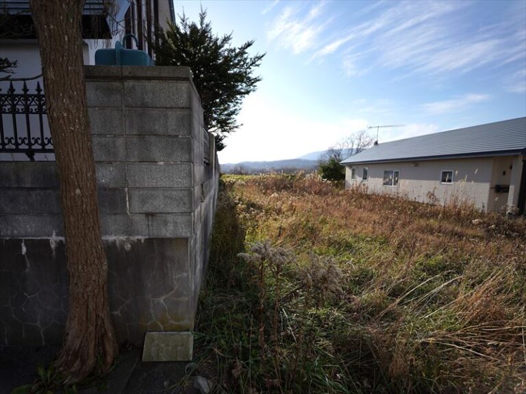 photo002