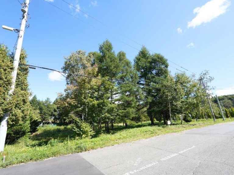 photo003