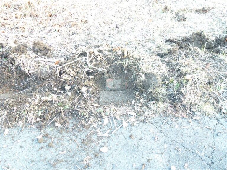 photo003