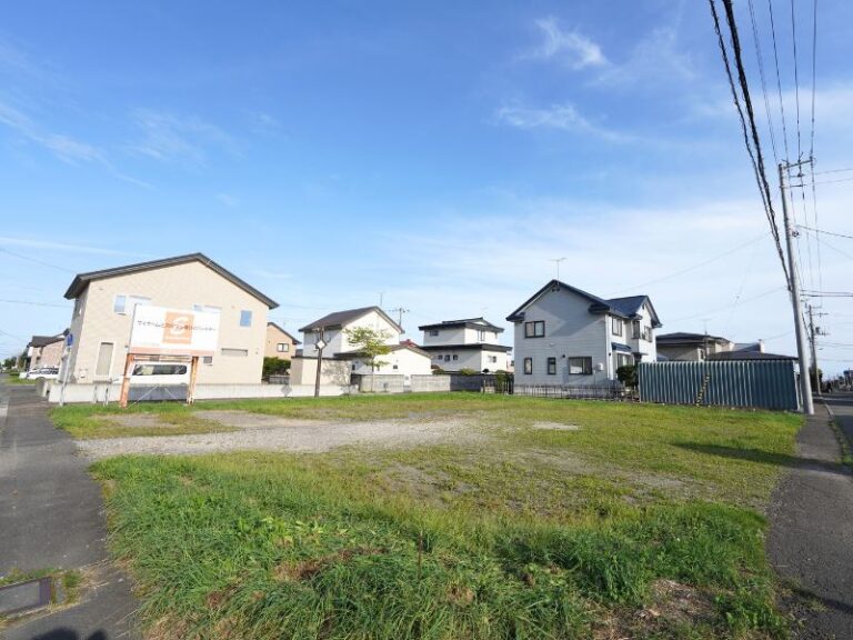 photo003