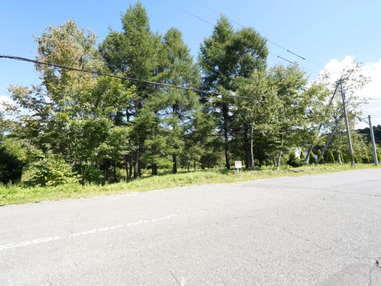 photo004