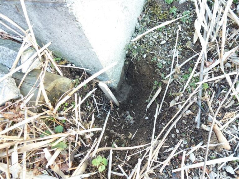 photo004