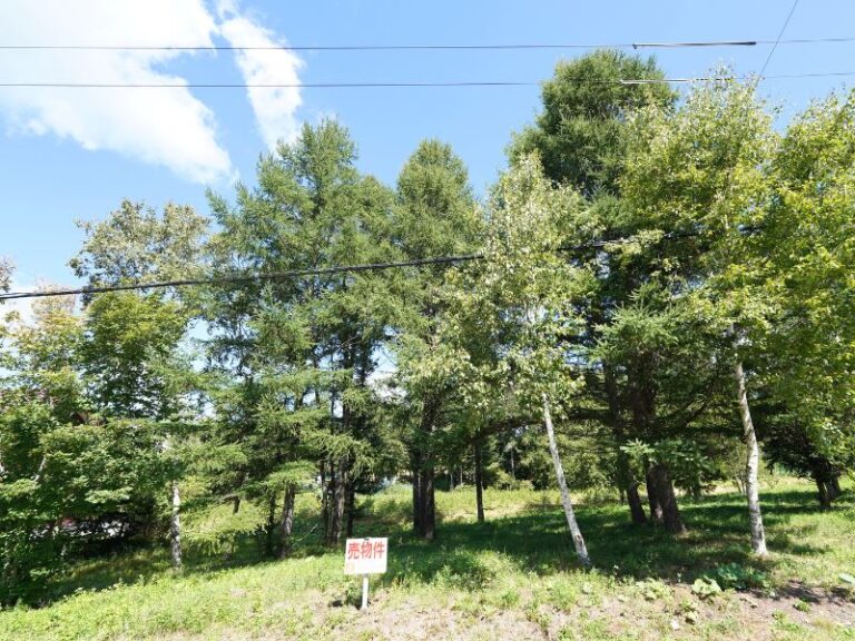 photo005