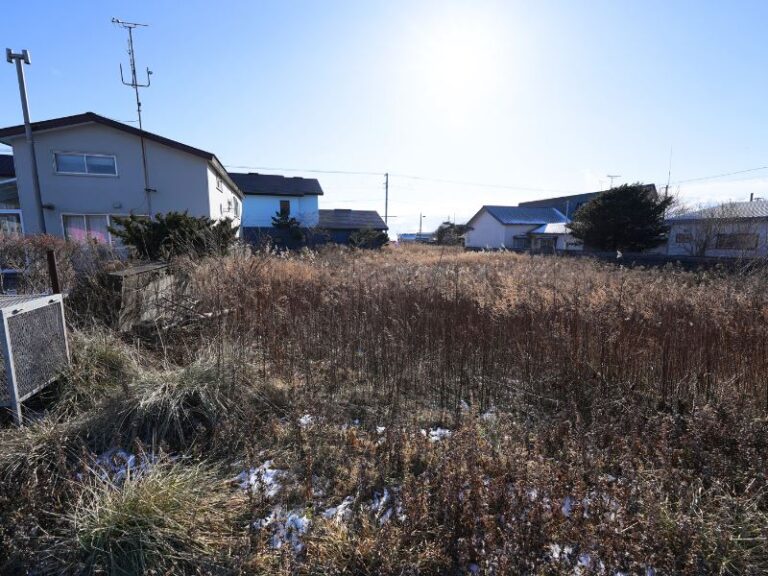 photo006