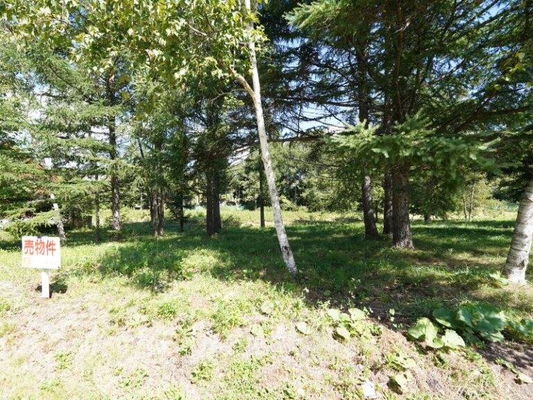 photo006
