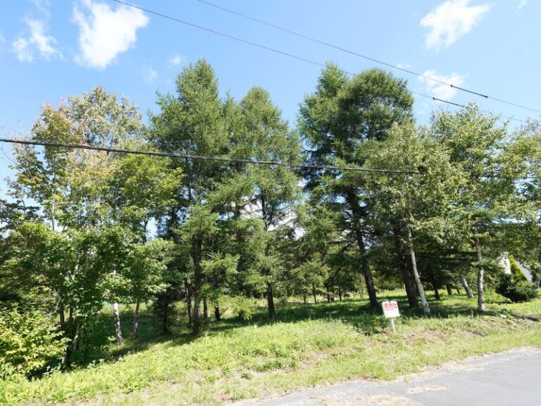 photo007