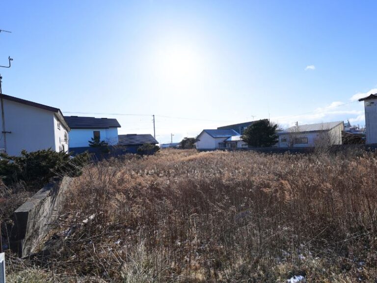 photo008