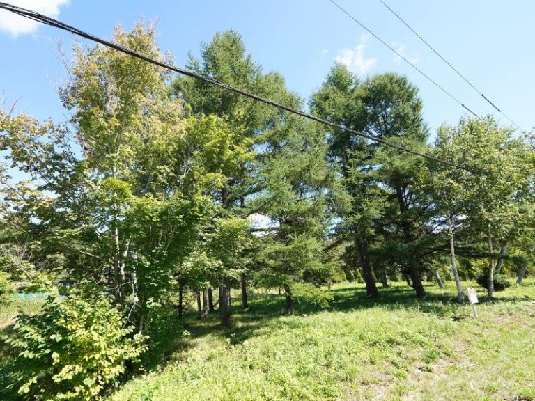 photo008
