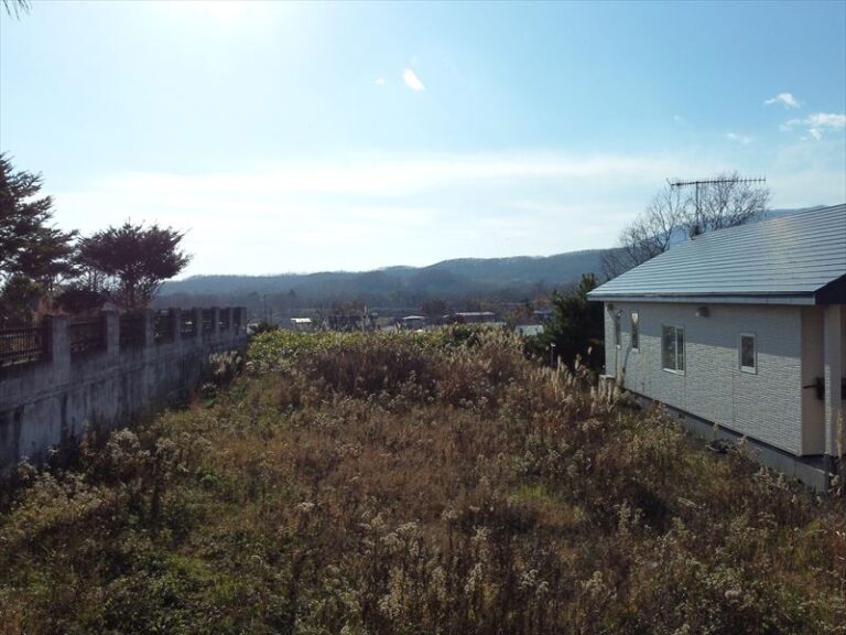 photo009