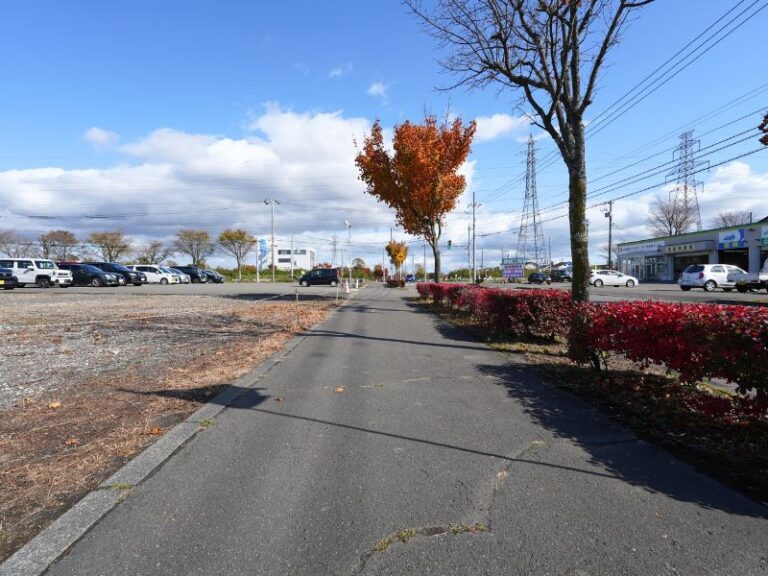 photo011