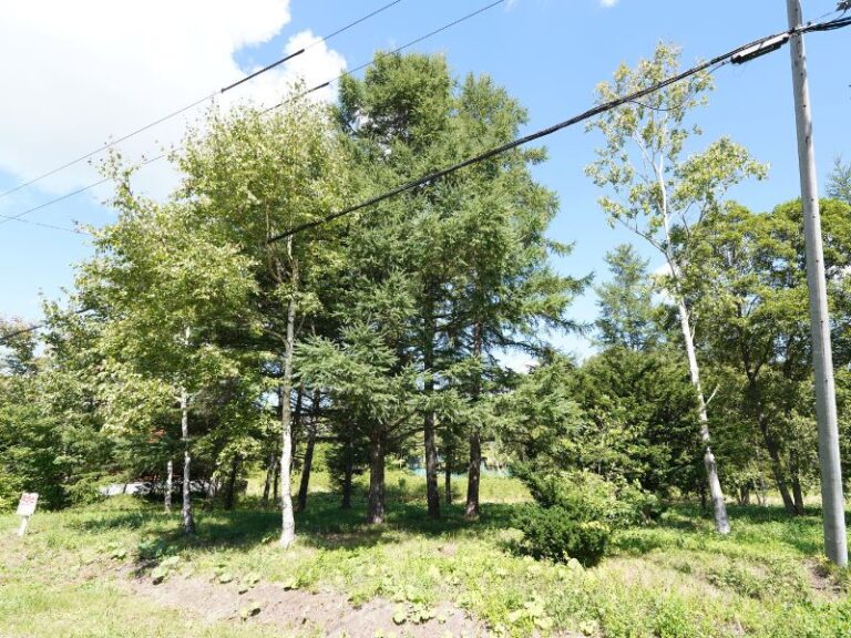 photo013