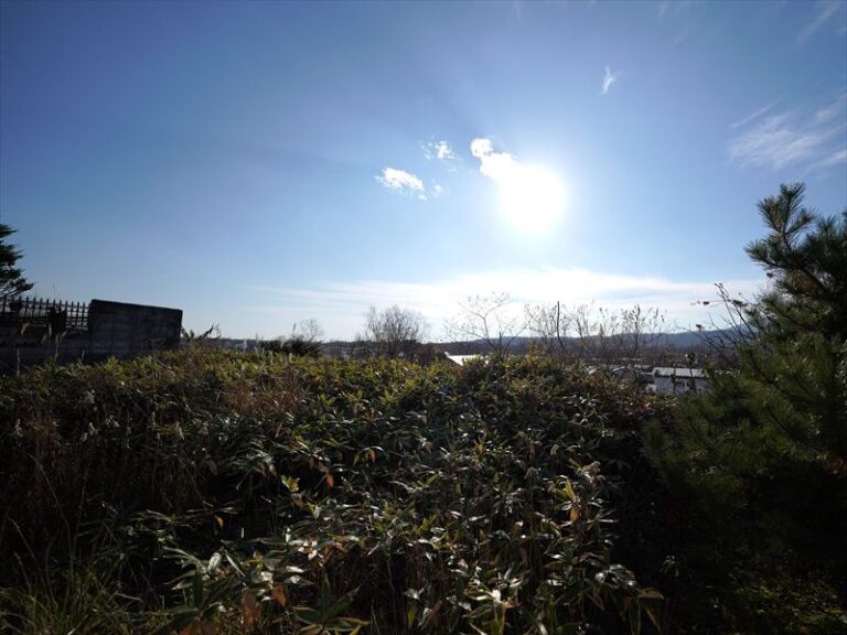 photo018