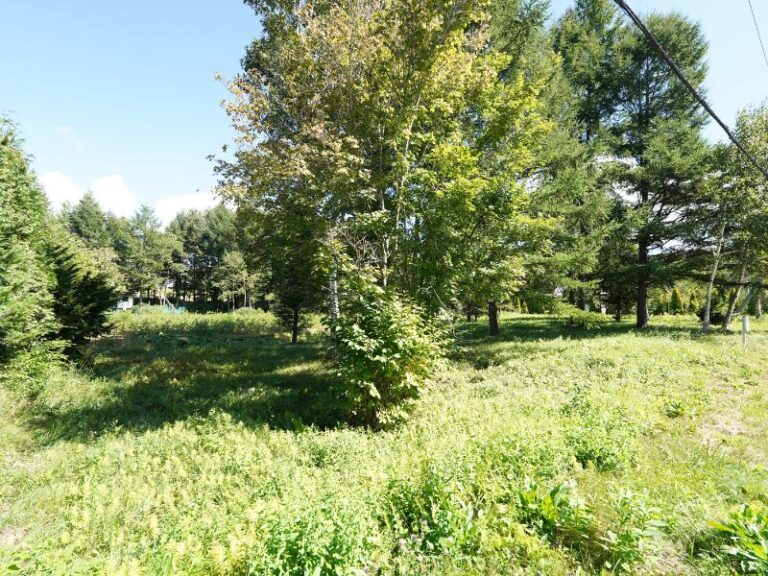 photo023